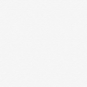 Meet your Posher, Bella